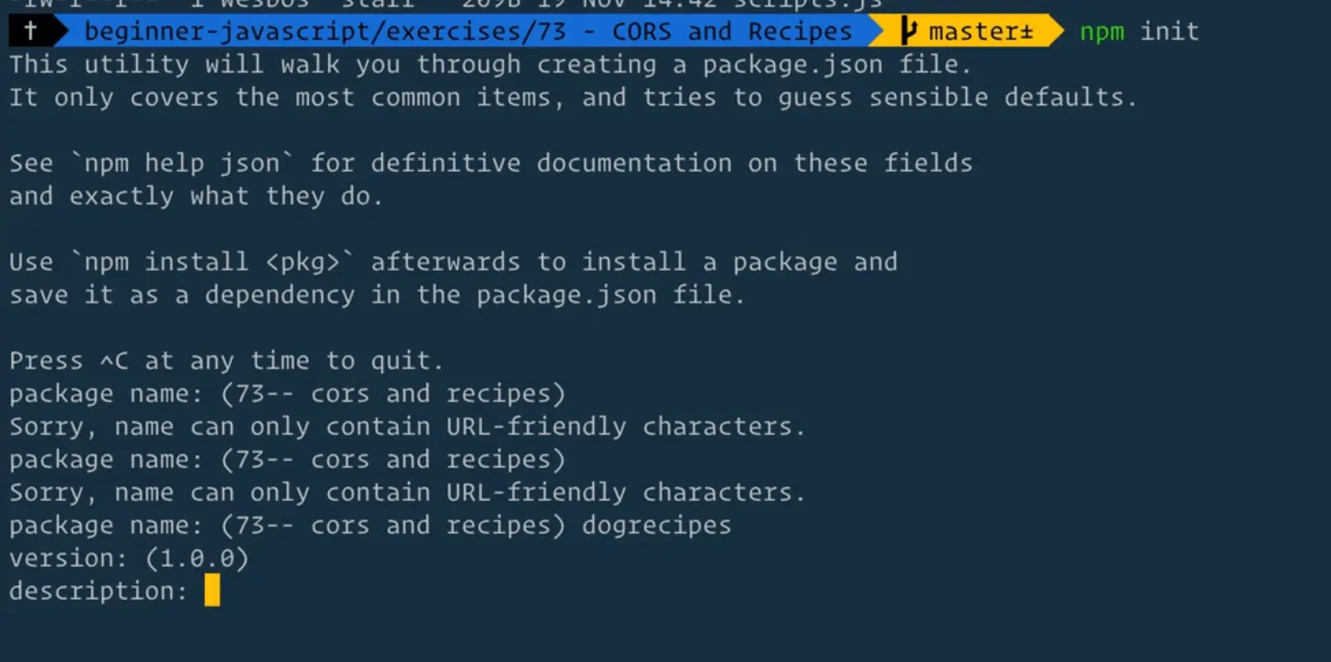 terminal window showing npm init