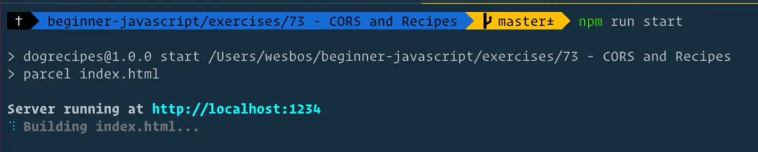 terminal window showing npm start