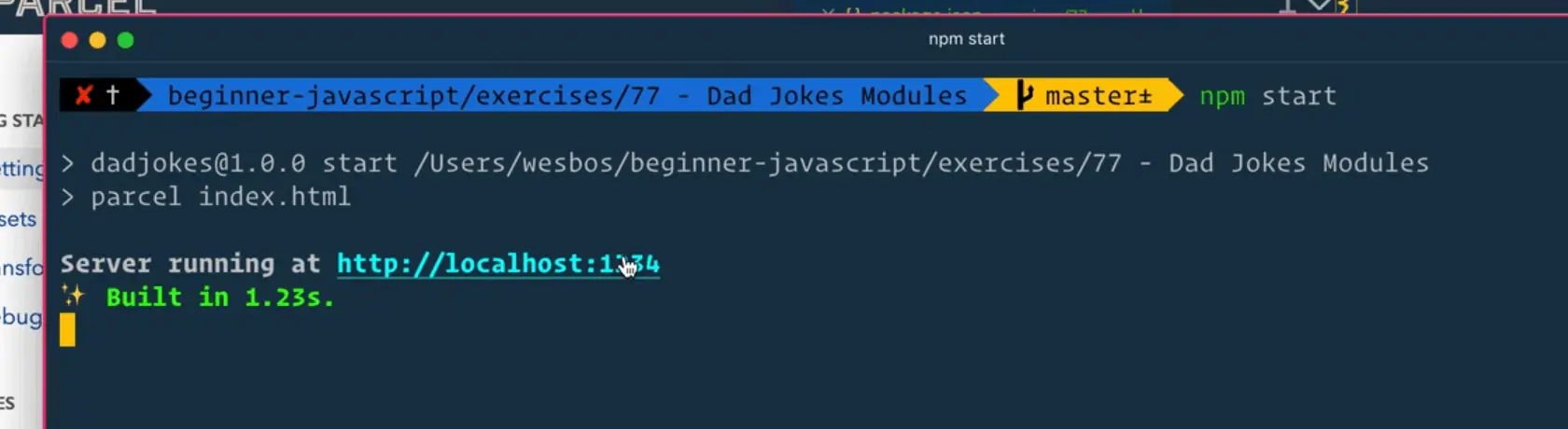 type npm start command that will run parcel index.html
