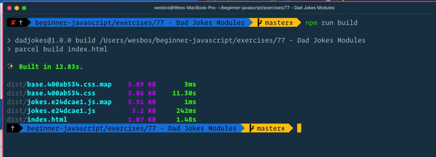type npm run build command in command prompt