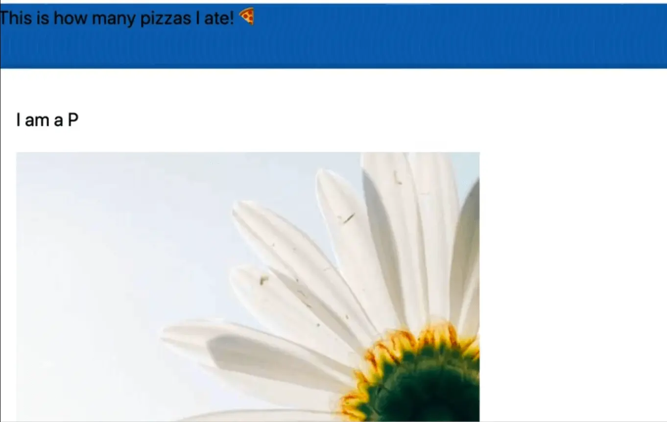 rendered webpage showing a paragrah above an image