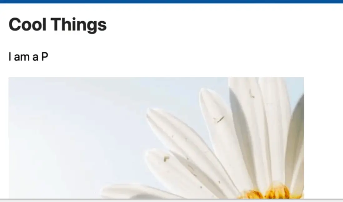 rendered page showing a paragraph before an image