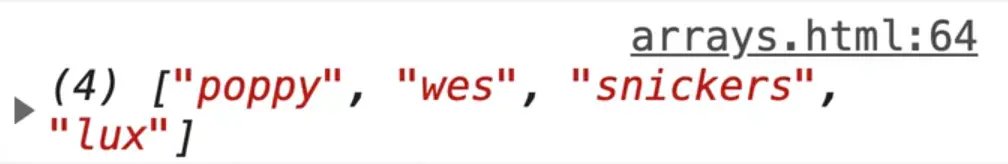 browser console showing newNamesWithOutKait