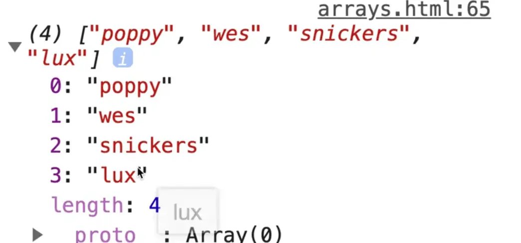 borwser console showing newNames999 new array as output of newNamesWithOutKait.flat()