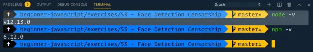 checking the npm and node version from terminal