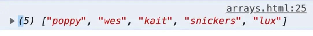 browser console output showing names array with added value at the start using .unshift() method
