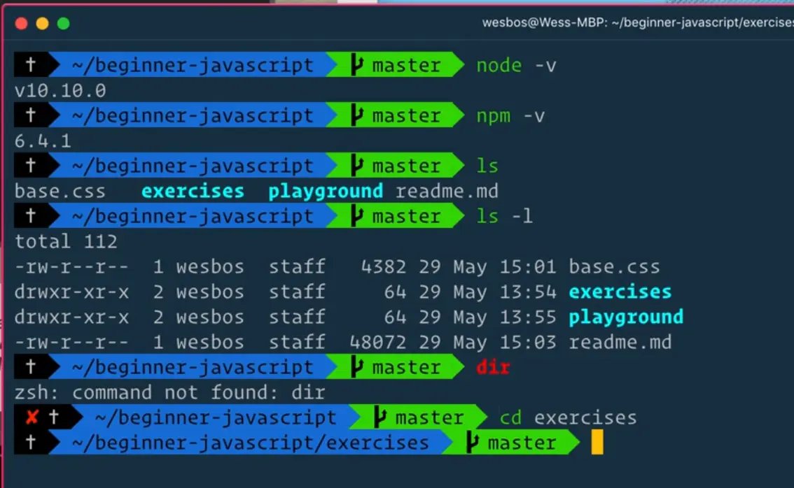 Terminal Output