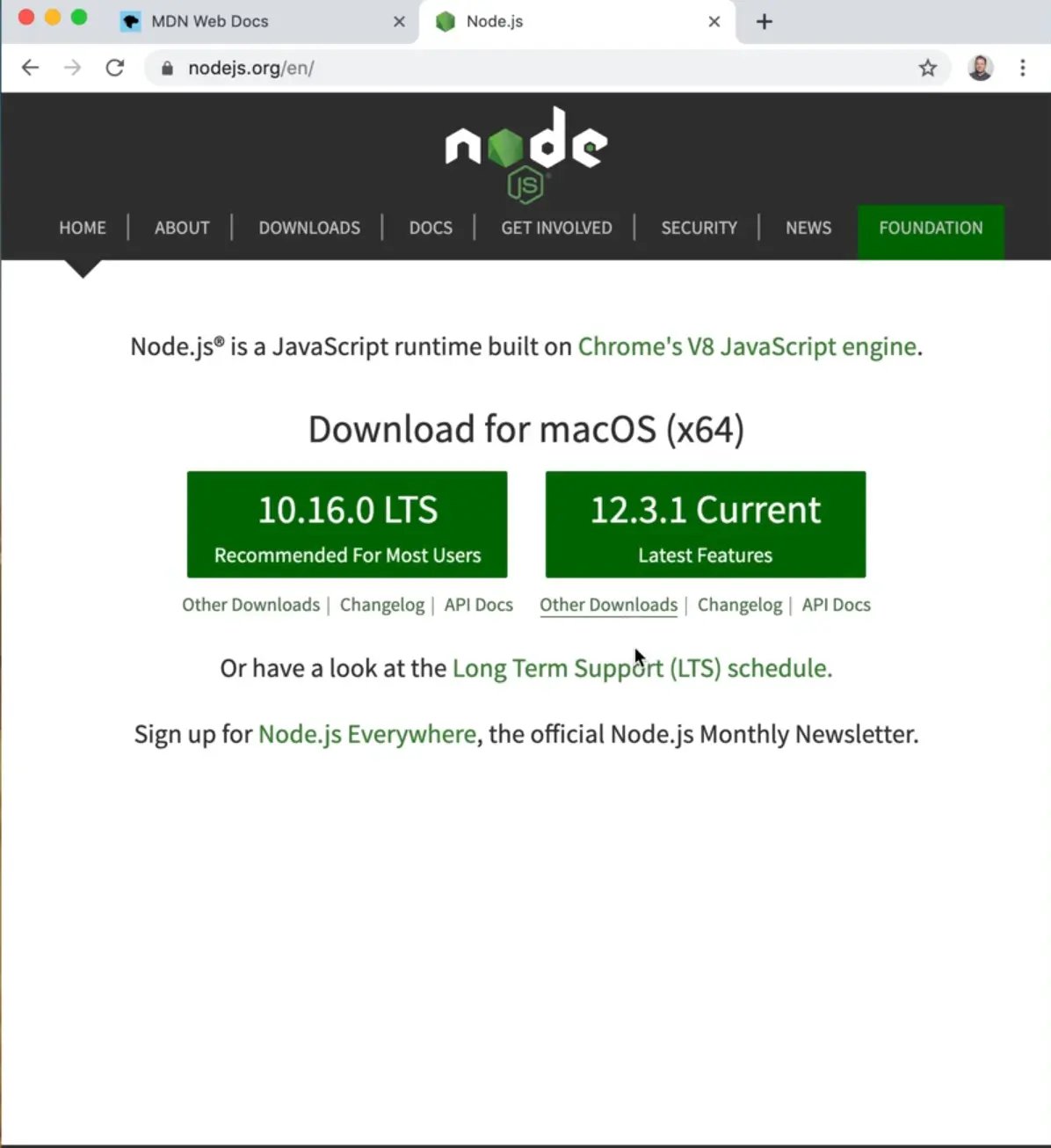 nodejs website