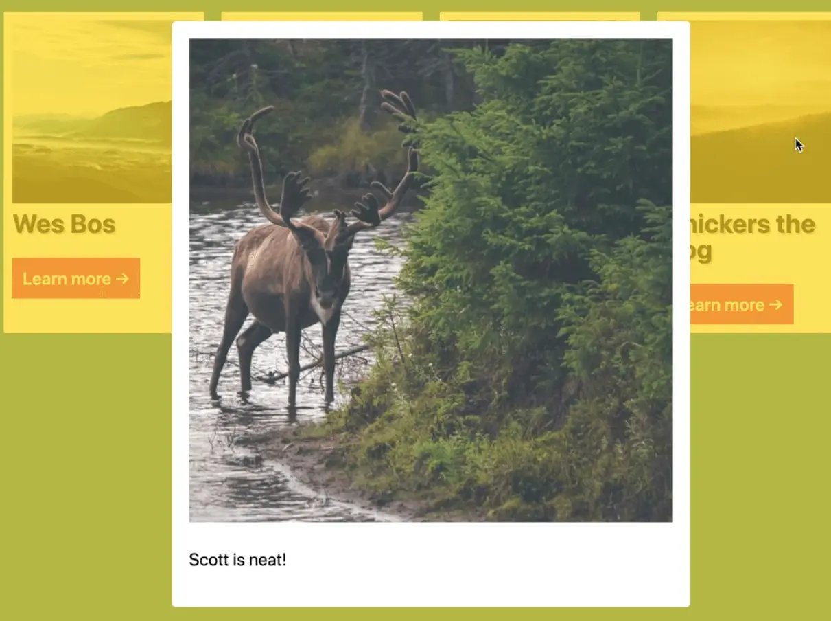 a modal showing an image and it's description