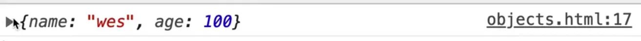 Browser console showing output of javascript object person