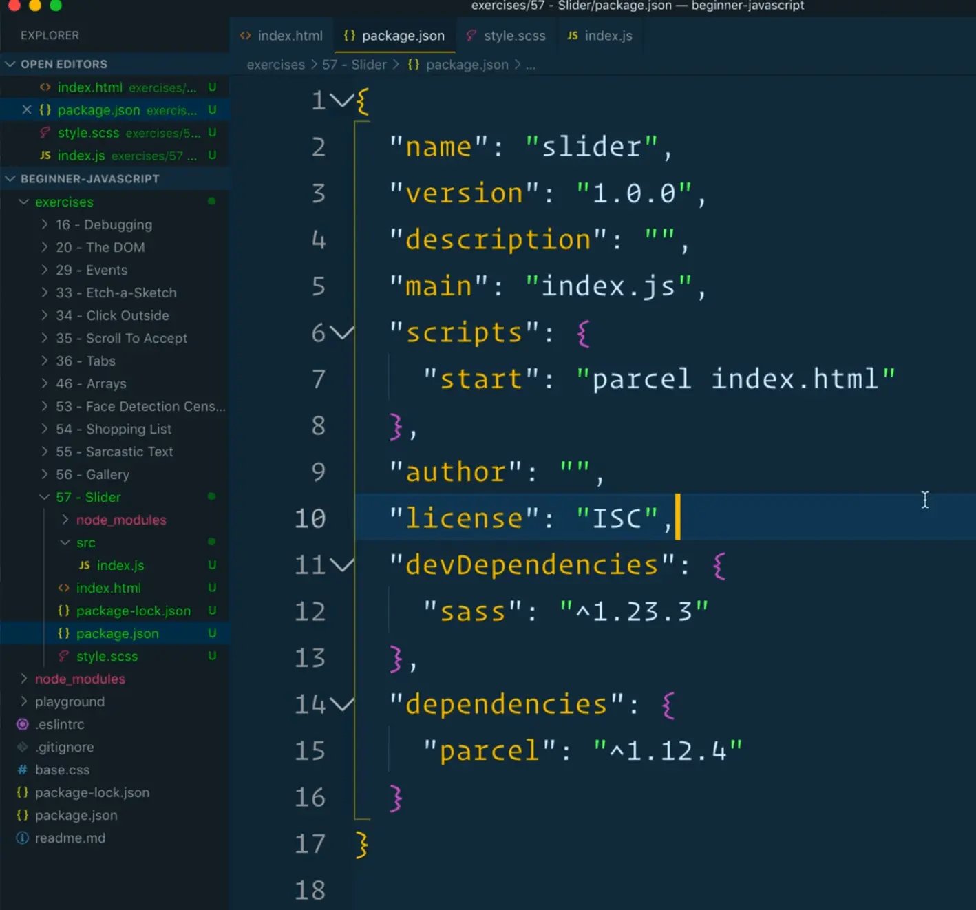 package.json file