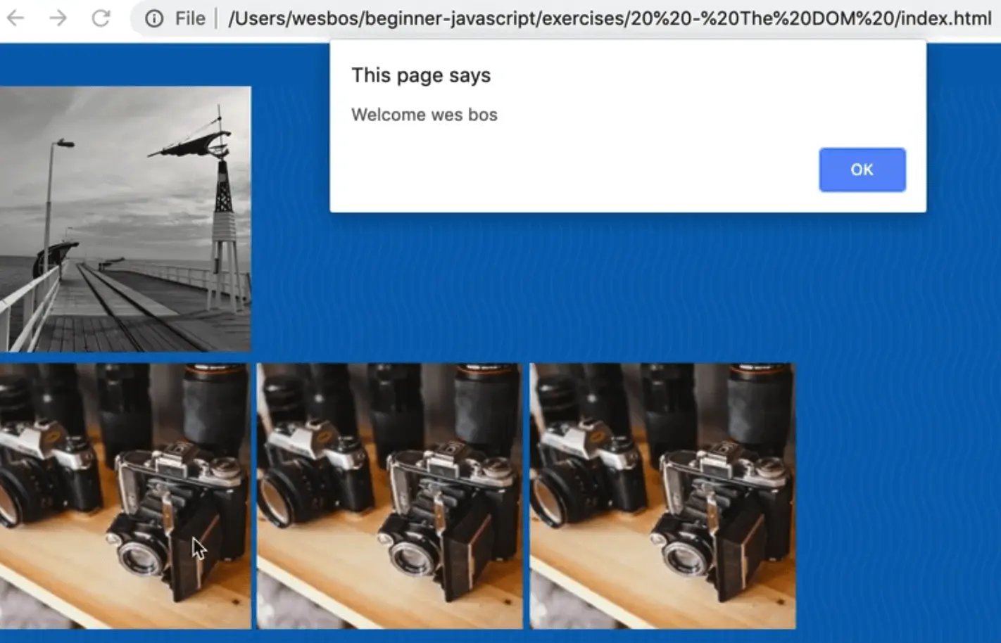 an active alert on the webpage showing welcome wes bos