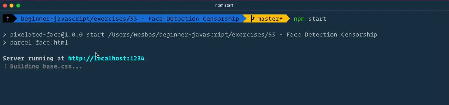 npm start in terminal