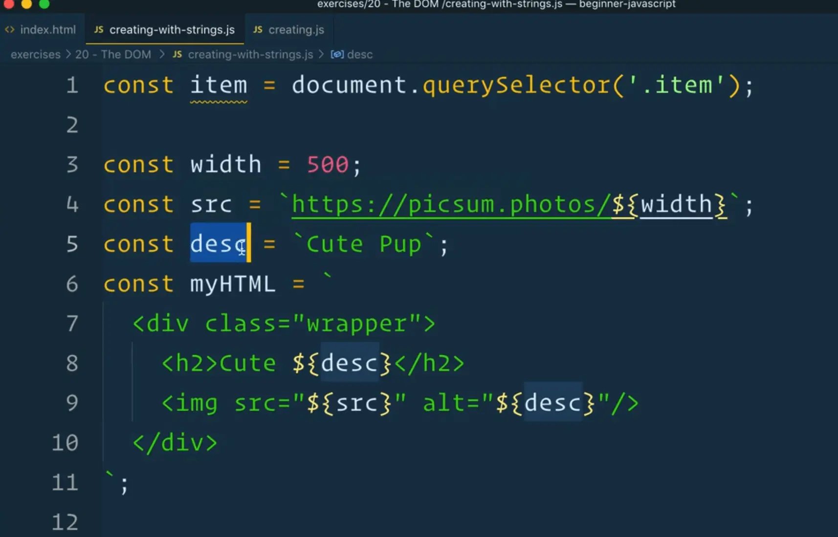 javascript code example showing a profile a user can customize
