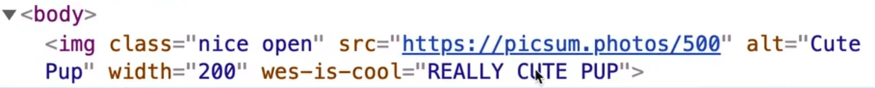 rendered html showing custom attirbute on the img element