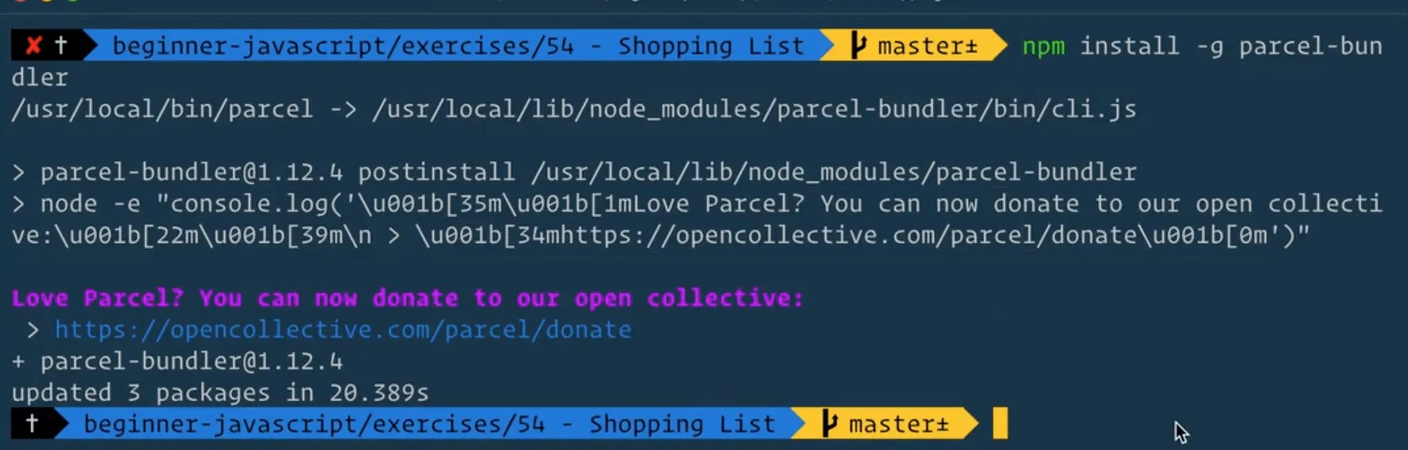 install parcel bundler globally on machine