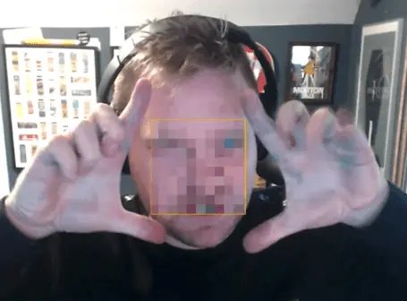 scale the face
