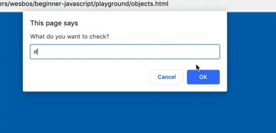 browser 