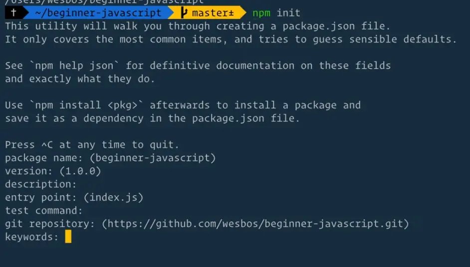 terminal output of npm init command