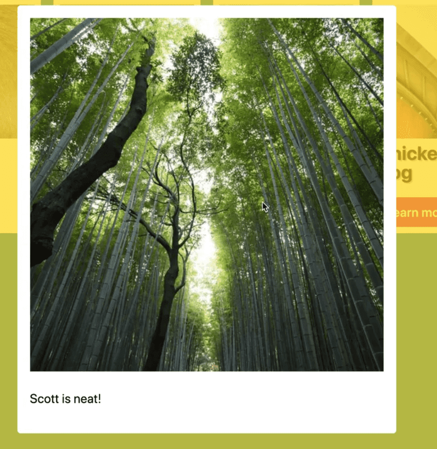 a modal with a large image in it