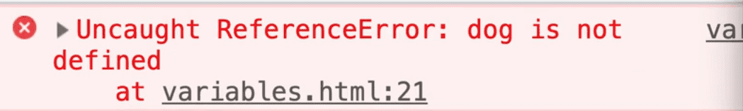an uncaught reference error when we try to access the variable dog