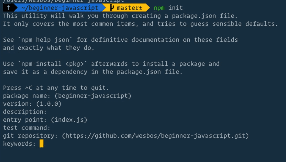 terminal output of npm init command