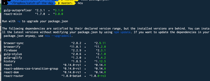 🔥 ncu checks for npm module updates and will update your package.json for you.

 t.co/r4Pks4gryG
