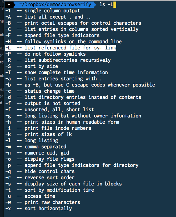 🔥 Completions for all possible flags and descriptions for ls by typing  ls - + tab in Oh-My-Zsh
